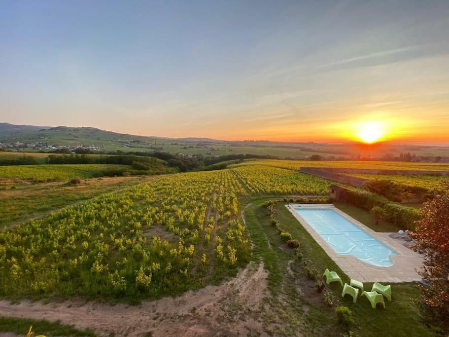 Au Coeur Des Vignes Chenas Du Beaujolais Leilighet La Chapelle-de-Guinchay Eksteriør bilde