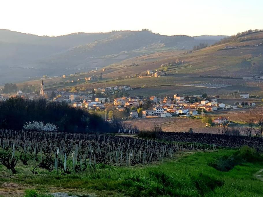 Au Coeur Des Vignes Chenas Du Beaujolais Leilighet La Chapelle-de-Guinchay Eksteriør bilde